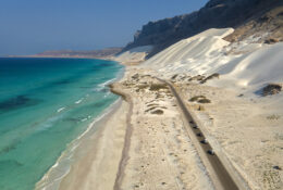 Socotra_2025 (51/76)